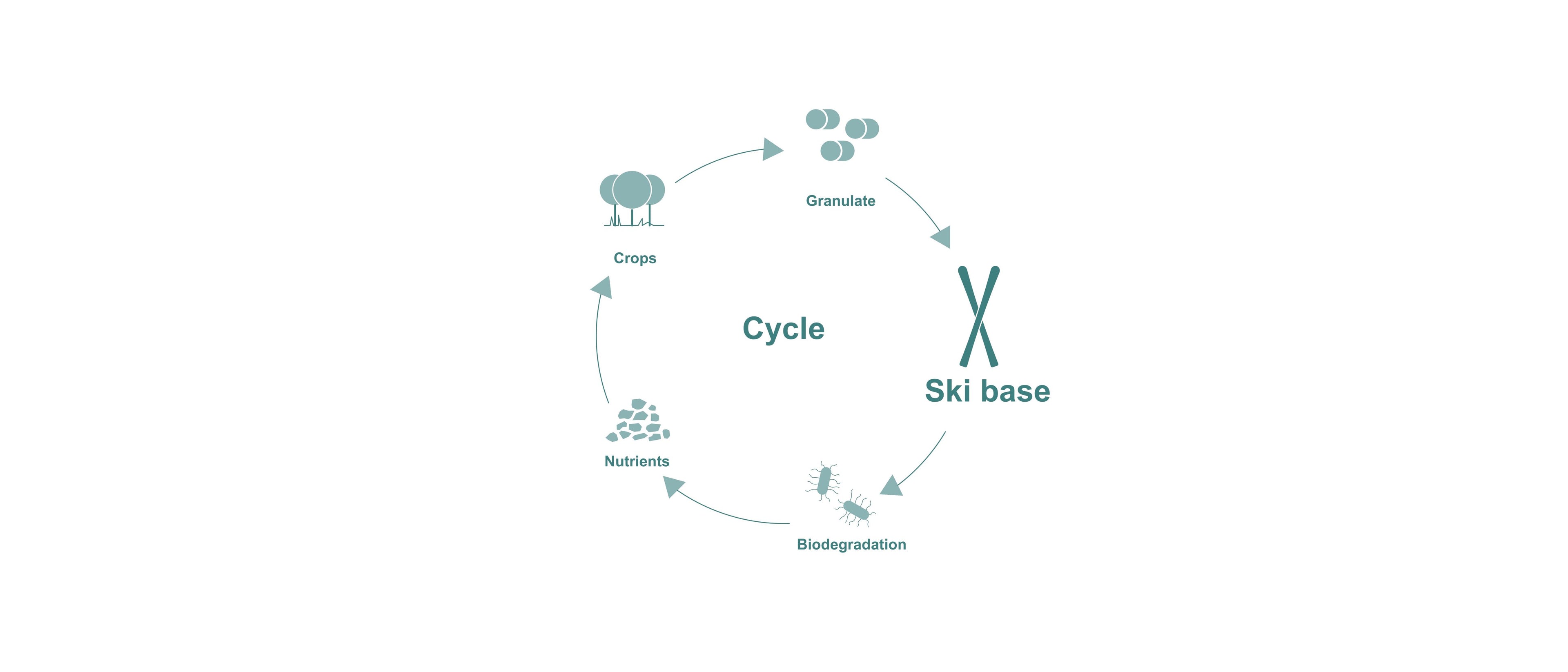 Cycle of ski base